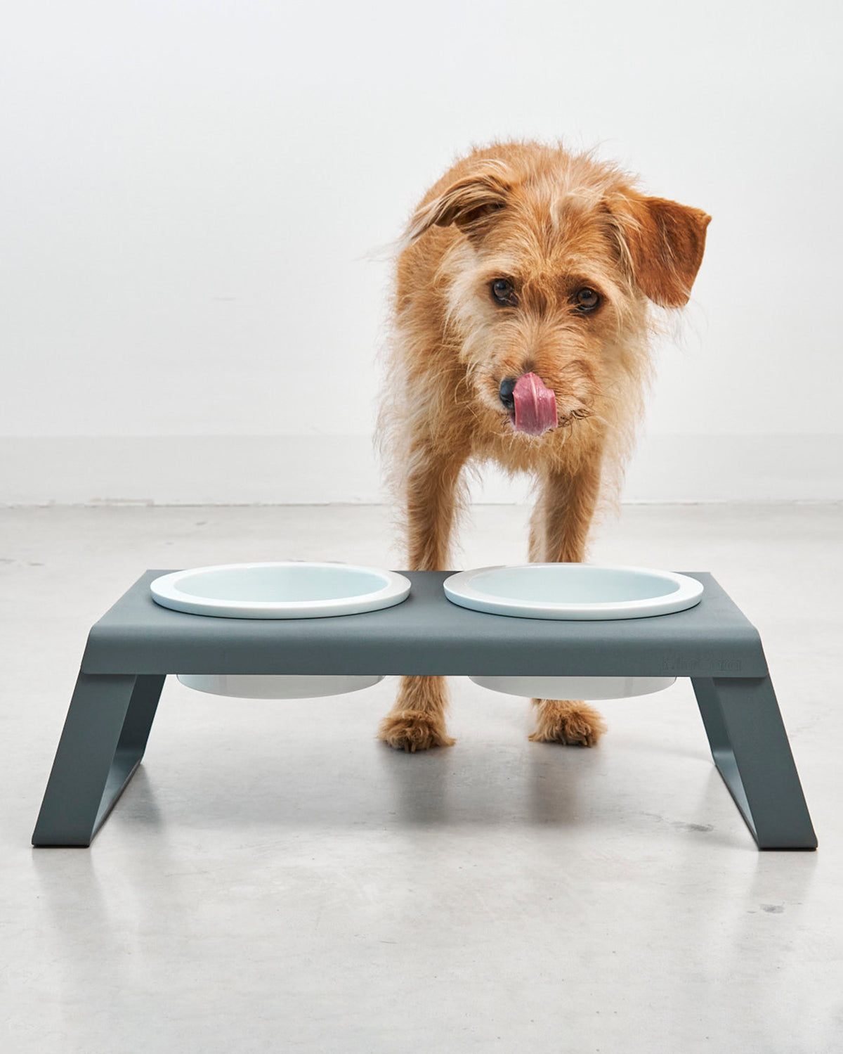 DESCO ALU PORCELAIN | מעמד קערות מוגבה לכלב