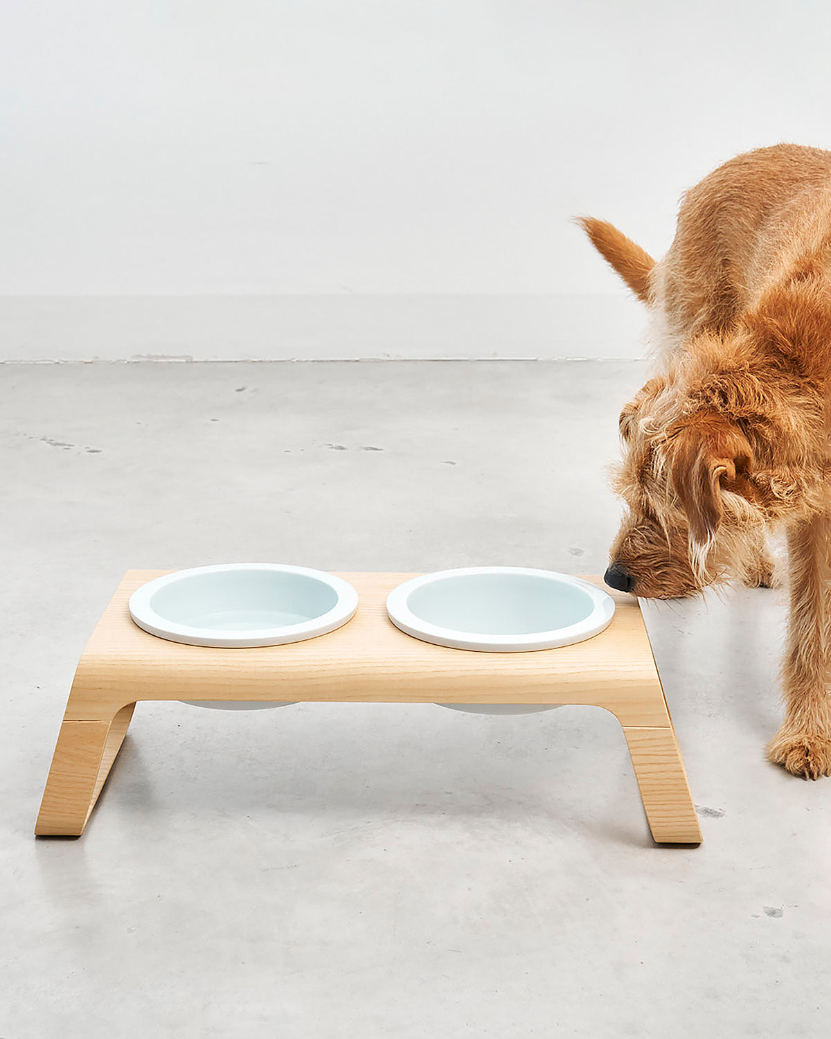 פורצלן דסקו עץ | מעמדות מוגבה לכלב