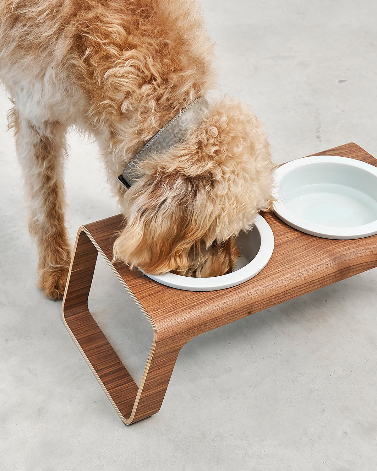 פורצלן דסקו עץ | מעמדות מוגבה לכלב