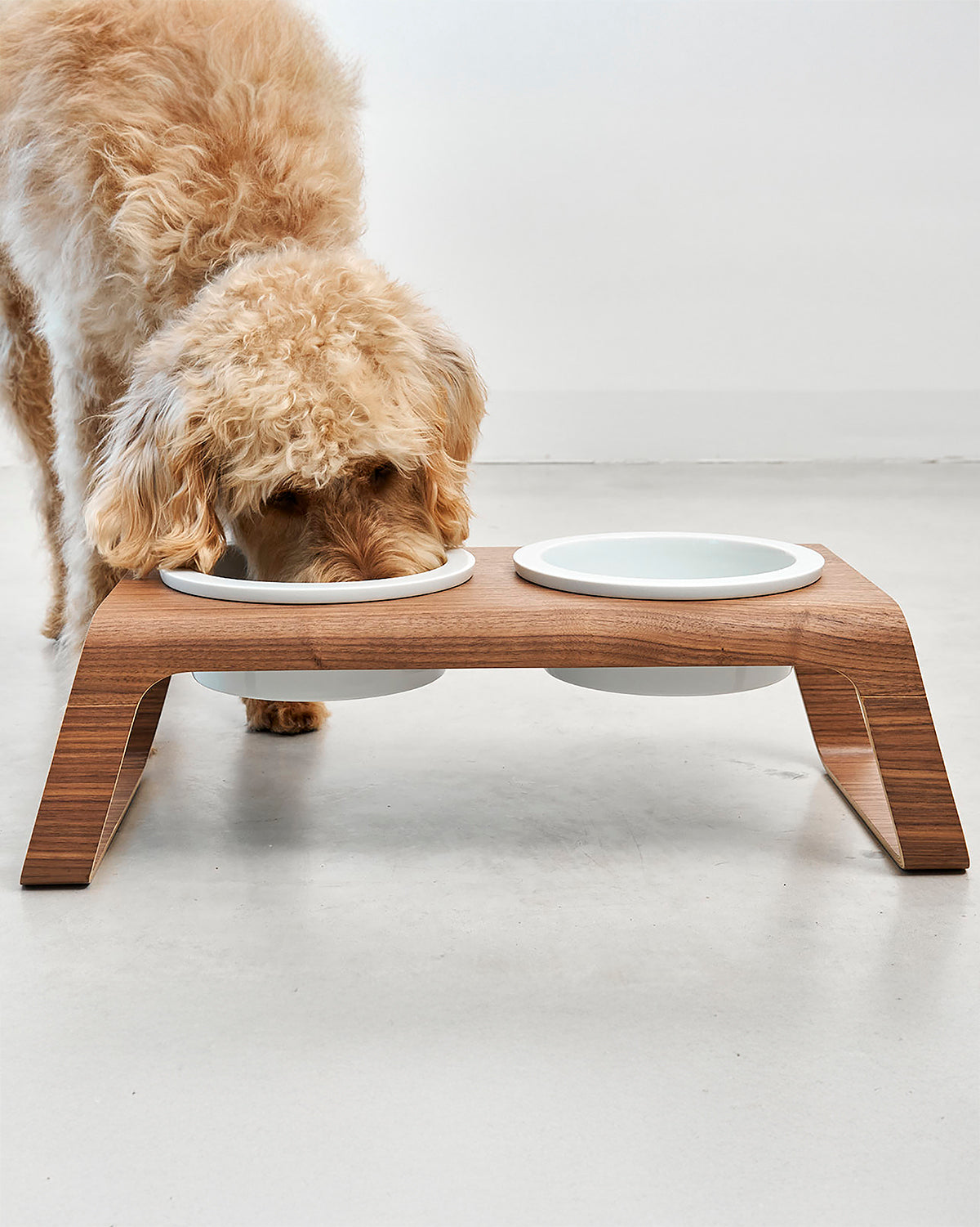 פורצלן דסקו עץ | מעמדות מוגבה לכלב