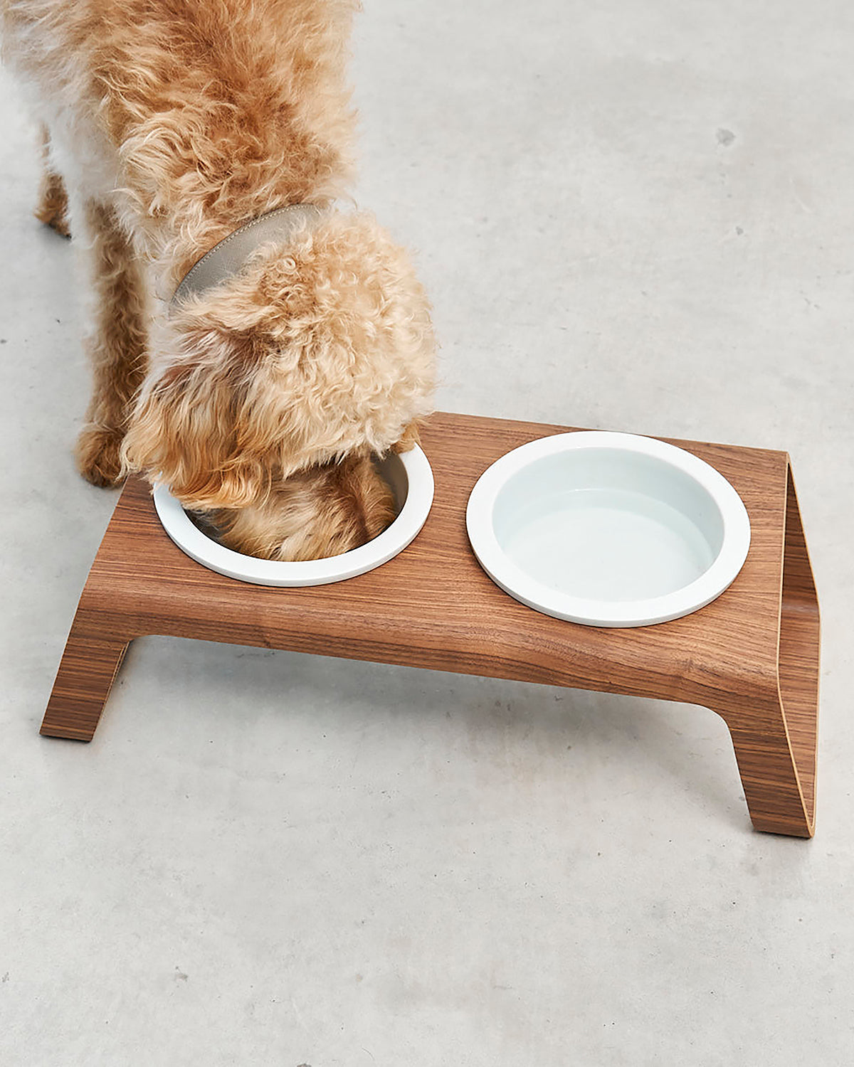 פורצלן דסקו עץ | מעמדות מוגבה לכלב