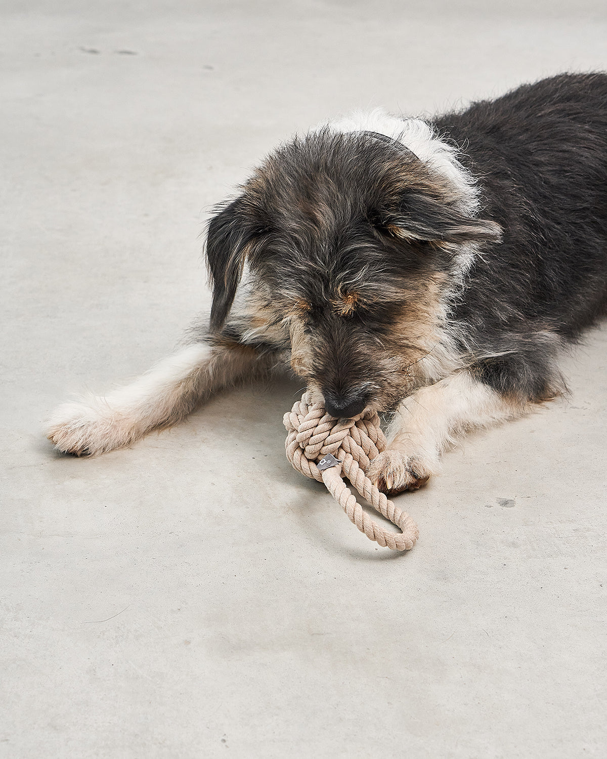 NODO DOG ROPE TOY | חבל משחק לכלב