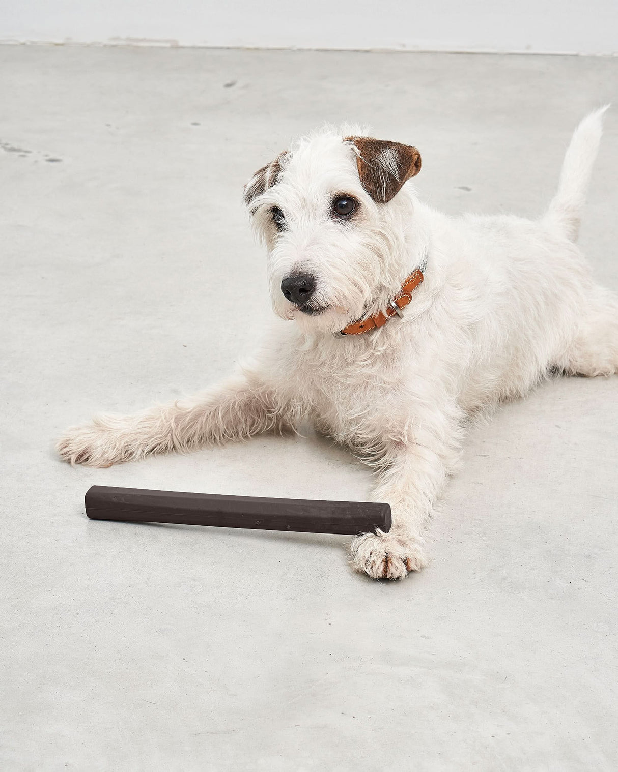 RAMO DOG FETCH TOY | משחק מקל זריקה לכלבים