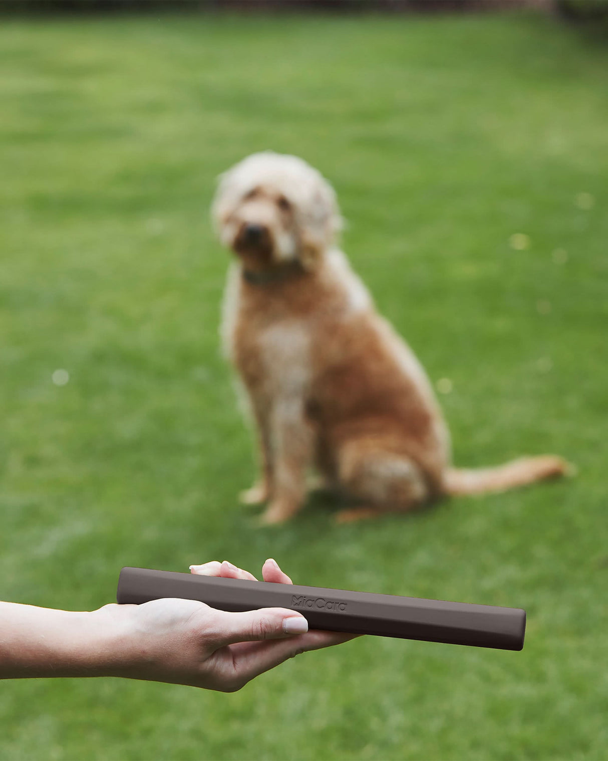 RAMO DOG FETCH TOY | משחק מקל זריקה לכלבים