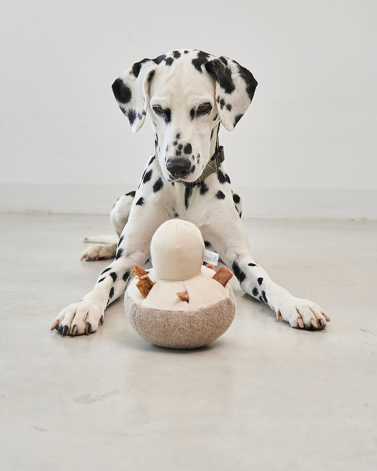 FORESTA DOG SNUFFLE TOYS SET | סט צעצועי ריחרוח לכלבים