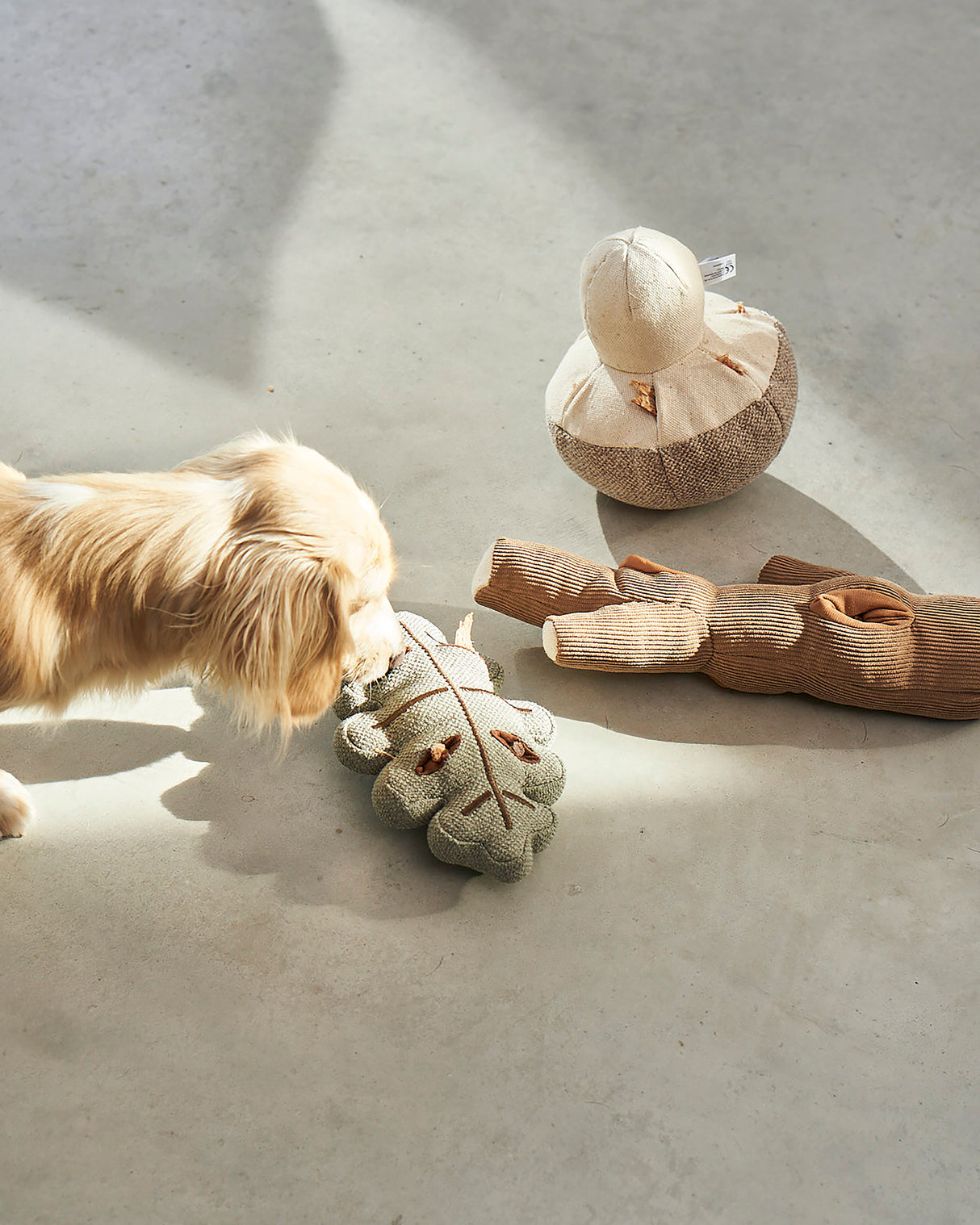 FORESTA DOG SNUFFLE TOYS SET | סט צעצועי ריחרוח לכלבים