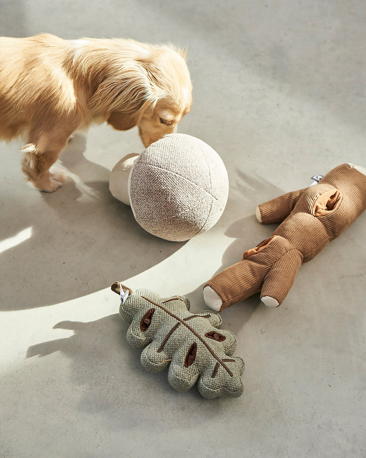 FORESTA DOG SNUFFLE TOYS SET | סט צעצועי ריחרוח לכלבים