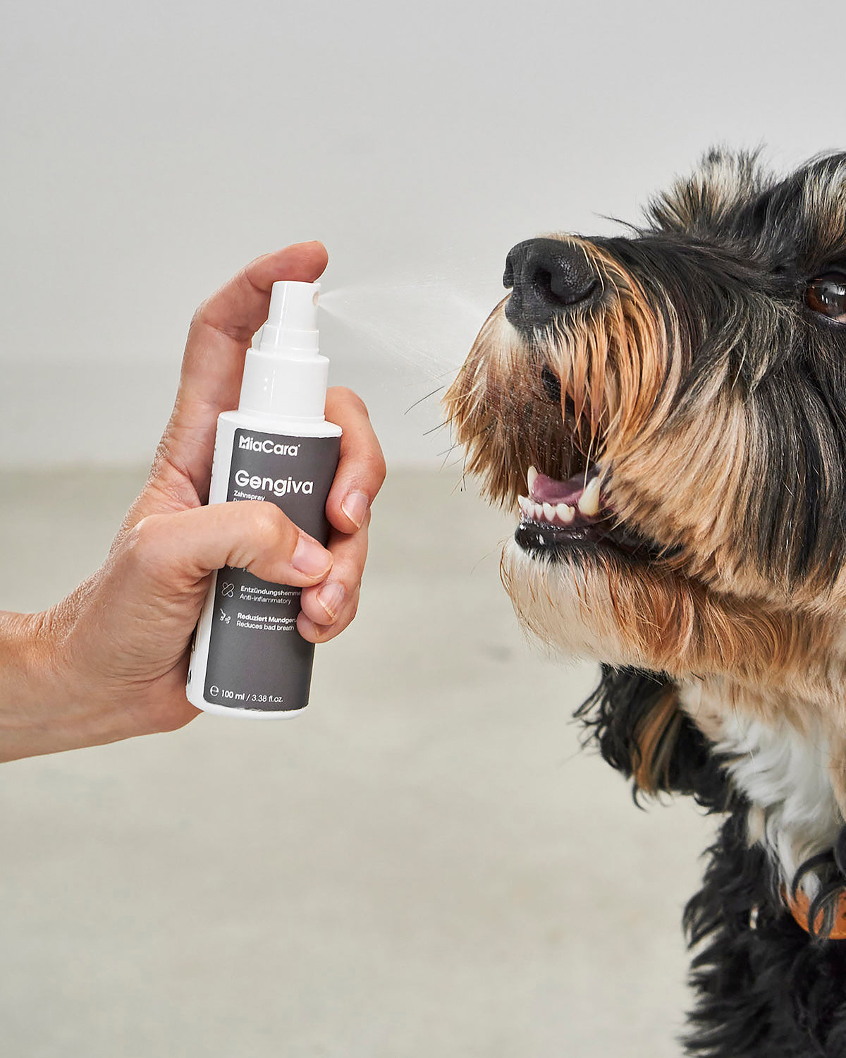 ספריי לטיפוח השיניים והחניכיים לכלב | GENGIVA DOG DENTAL SPRAY