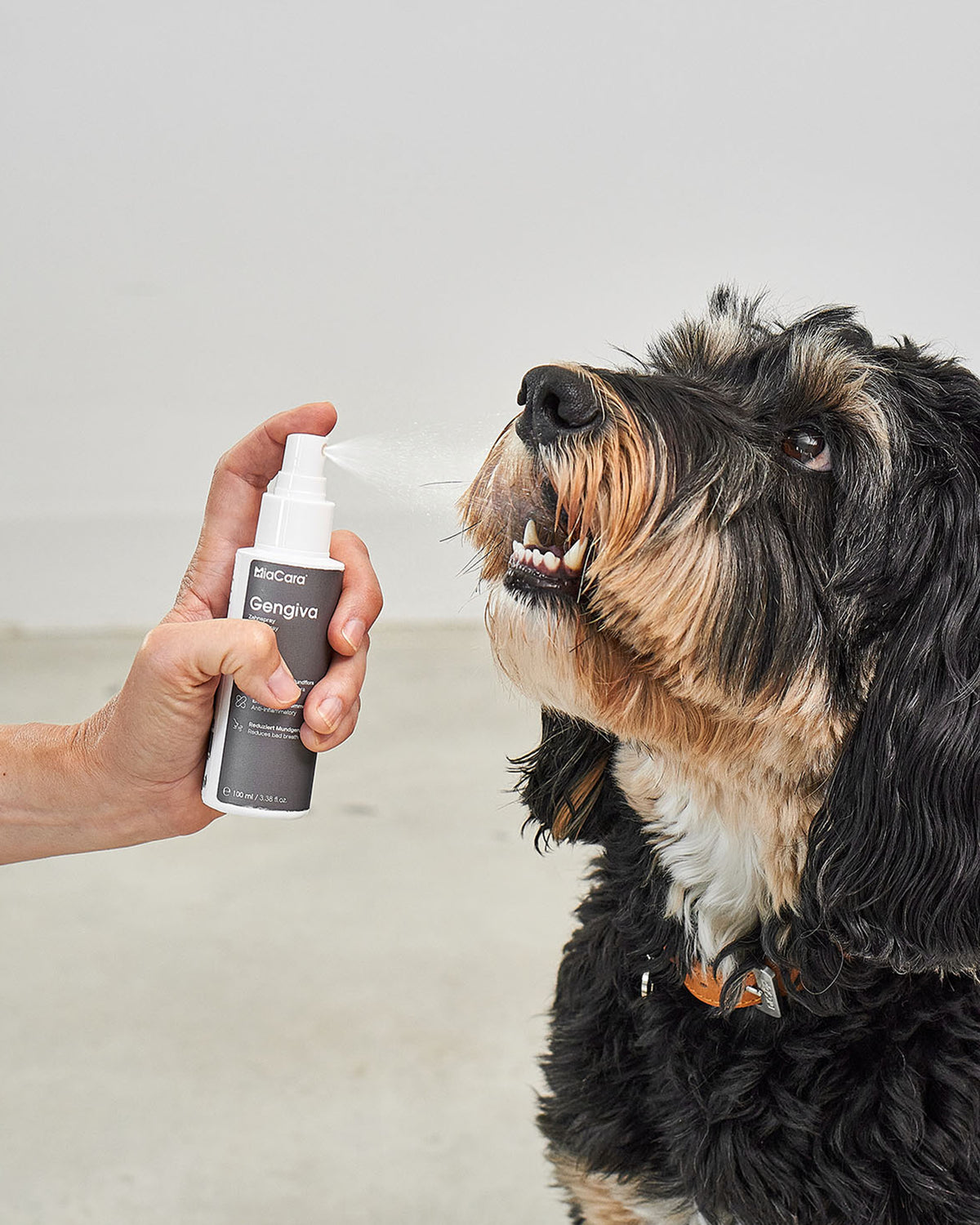ספריי לטיפוח השיניים והחניכיים לכלב | GENGIVA DOG DENTAL SPRAY