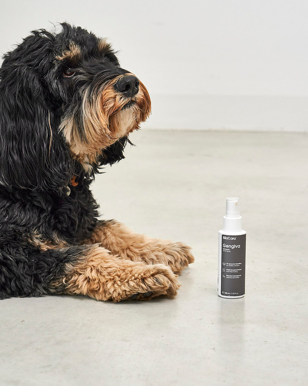 ספריי לטיפוח השיניים והחניכיים לכלב | GENGIVA DOG DENTAL SPRAY