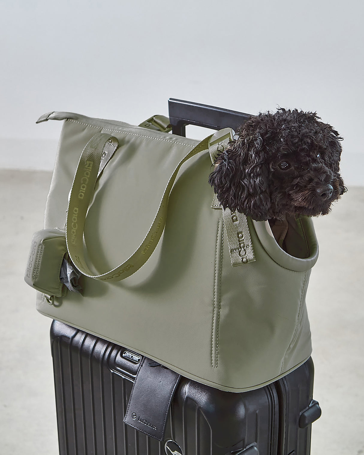 SPORTA DOG CARRIER BAG | תיק נשיאה לכלב