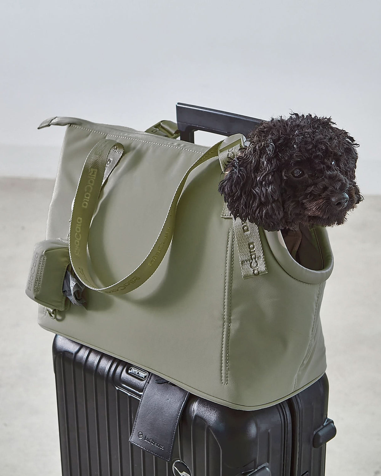 תיק נשיאה אלגנטי לכלב | SPORTA DOG CARRIER BAG