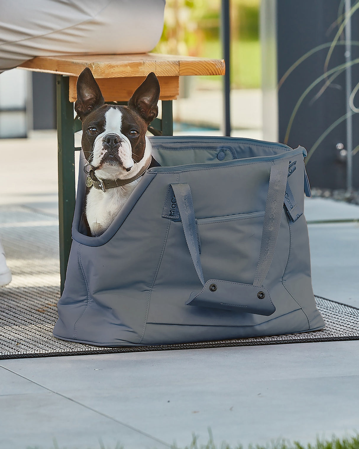 SPORTA DOG CARRIER BAG | תיק נשיאה לכלב