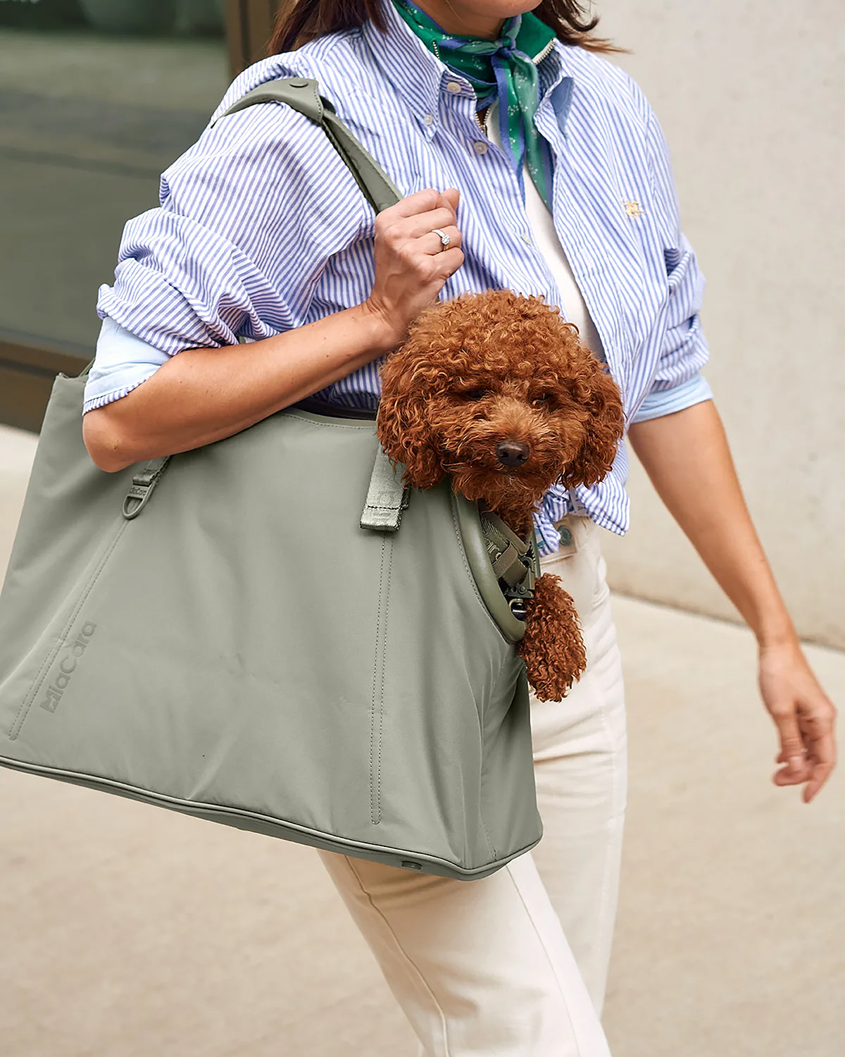 SPORTA DOG CARRIER BAG | תיק נשיאה לכלב