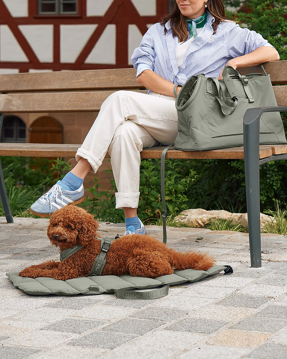 MODENA HARNESS | רתמה לכלב