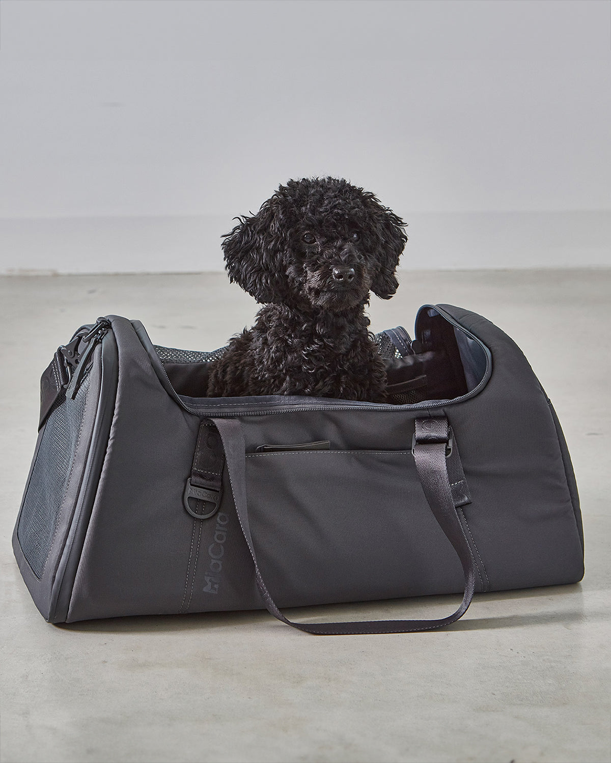 VOLATA PET CARRIER BAG | תיק נסיעות לכלב ולחתול