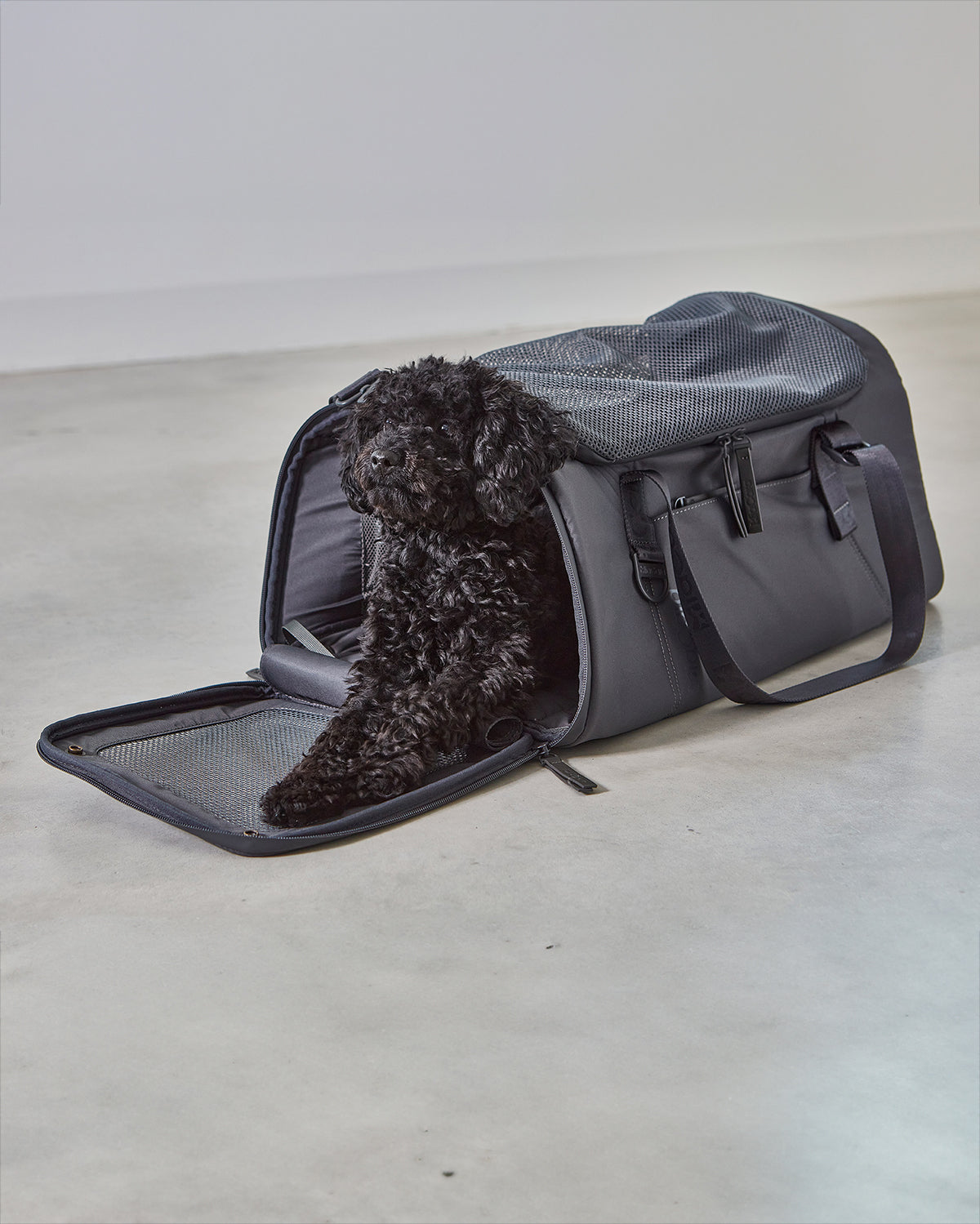 VOLATA PET CARRIER BAG | תיק נסיעות לכלב ולחתול