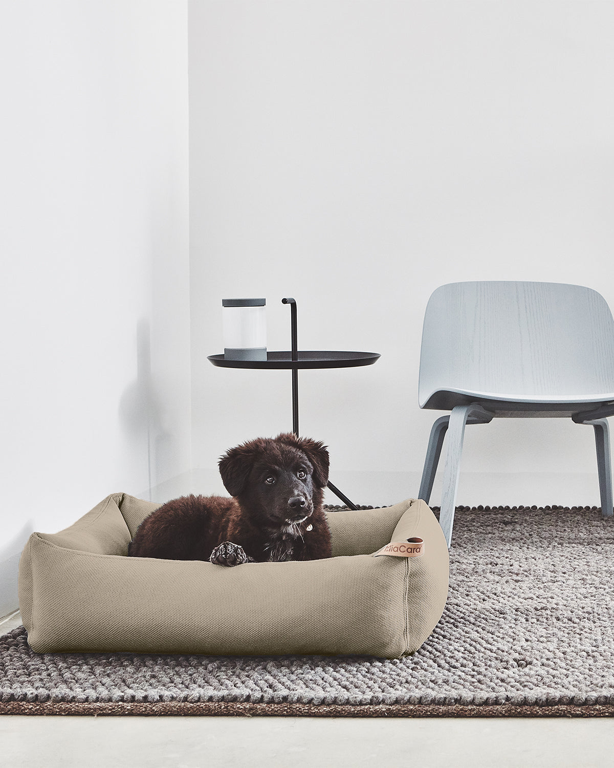 SONNO DOG BOX BED | מיטה אורתופדית לכלב