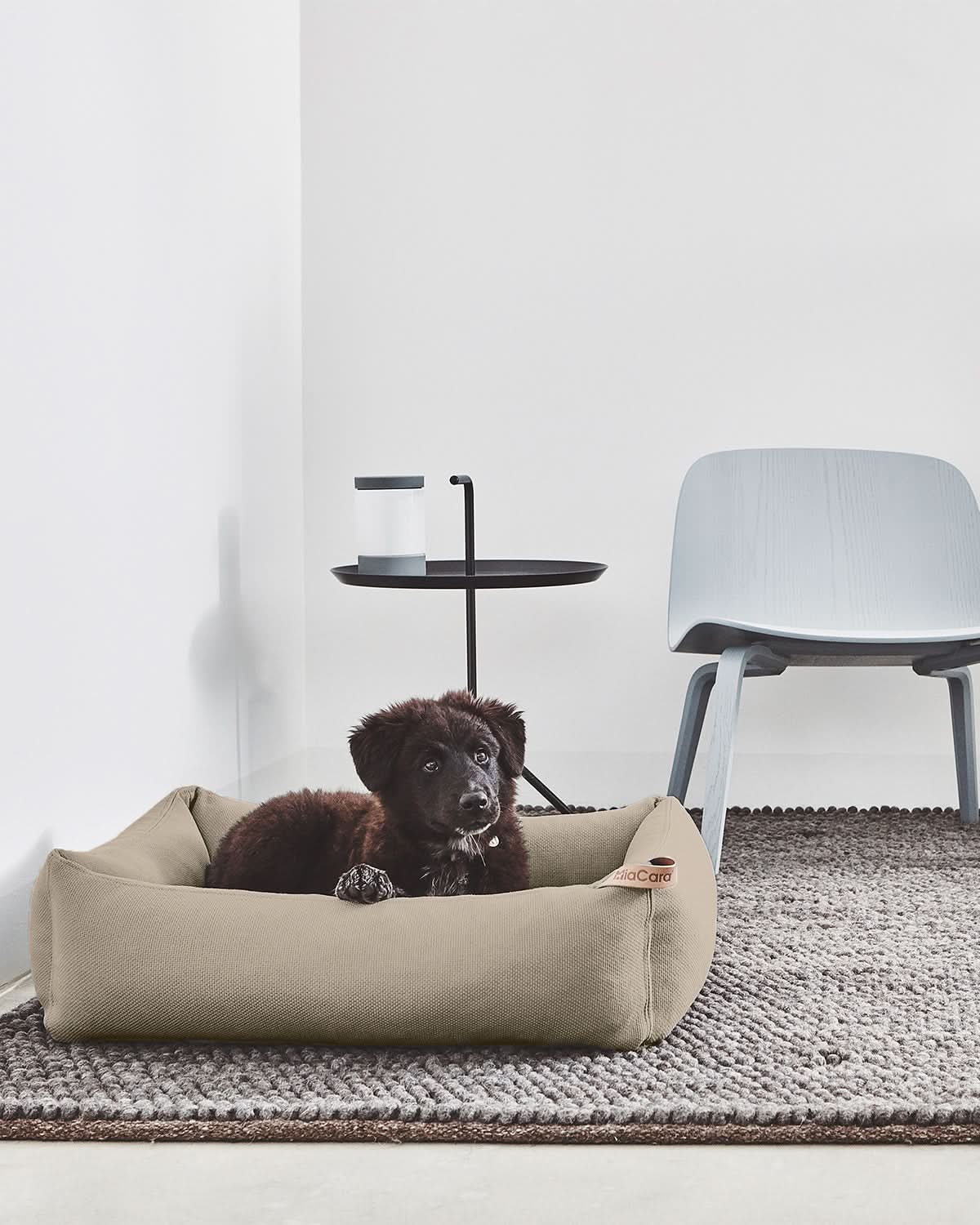 SONNO DOG BOX BED | מיטה אורתופדית לכלב