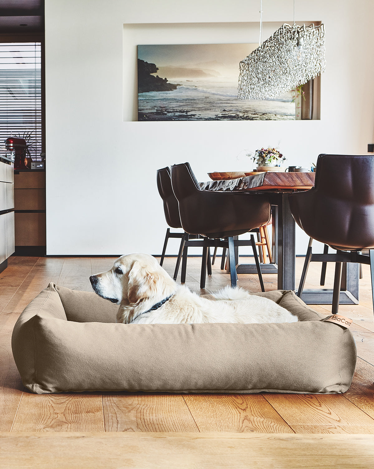 SONNO DOG BOX BED | מיטה אורתופדית לכלב