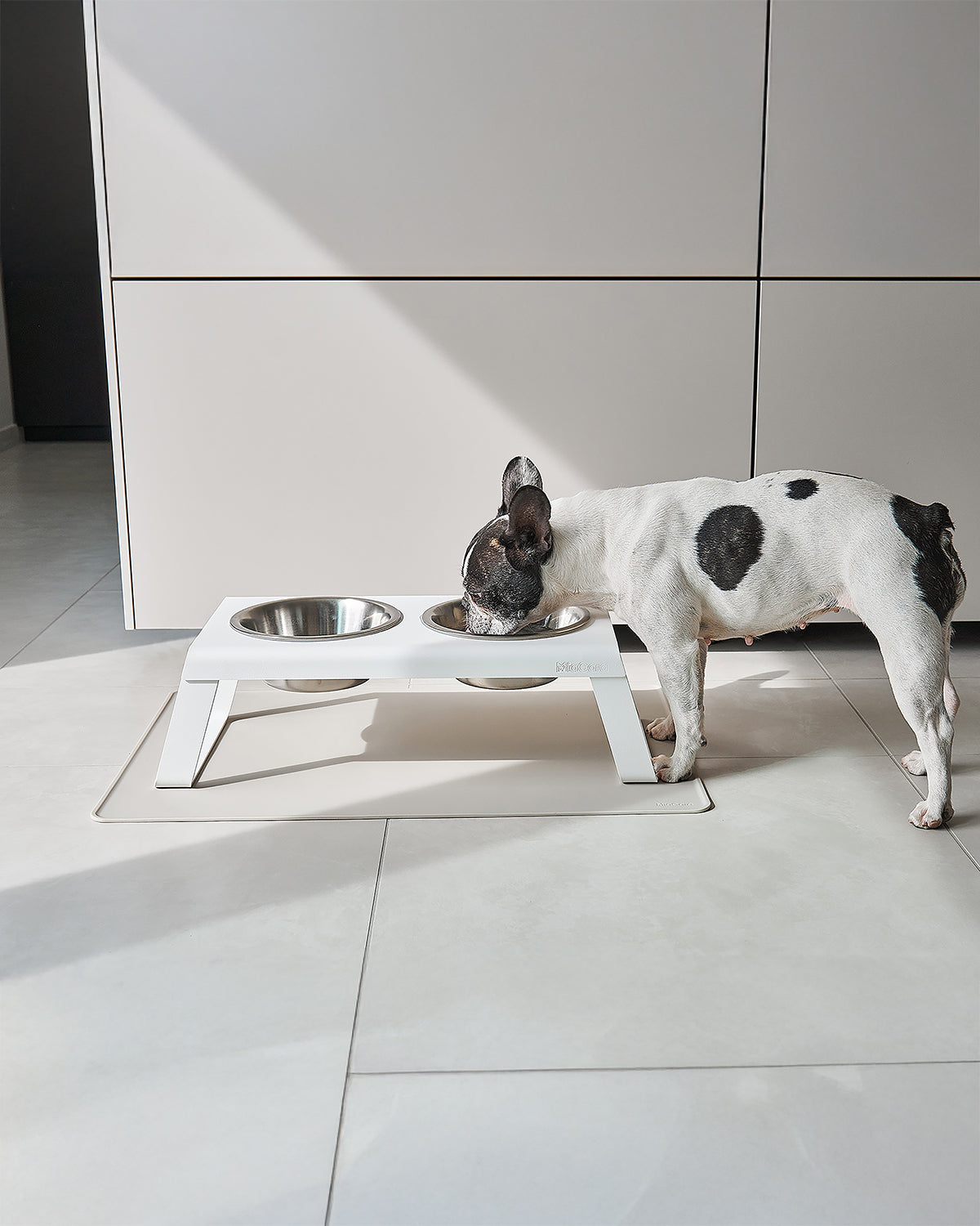 DESCO ALU  | מעמד קערות מוגבה לכלב