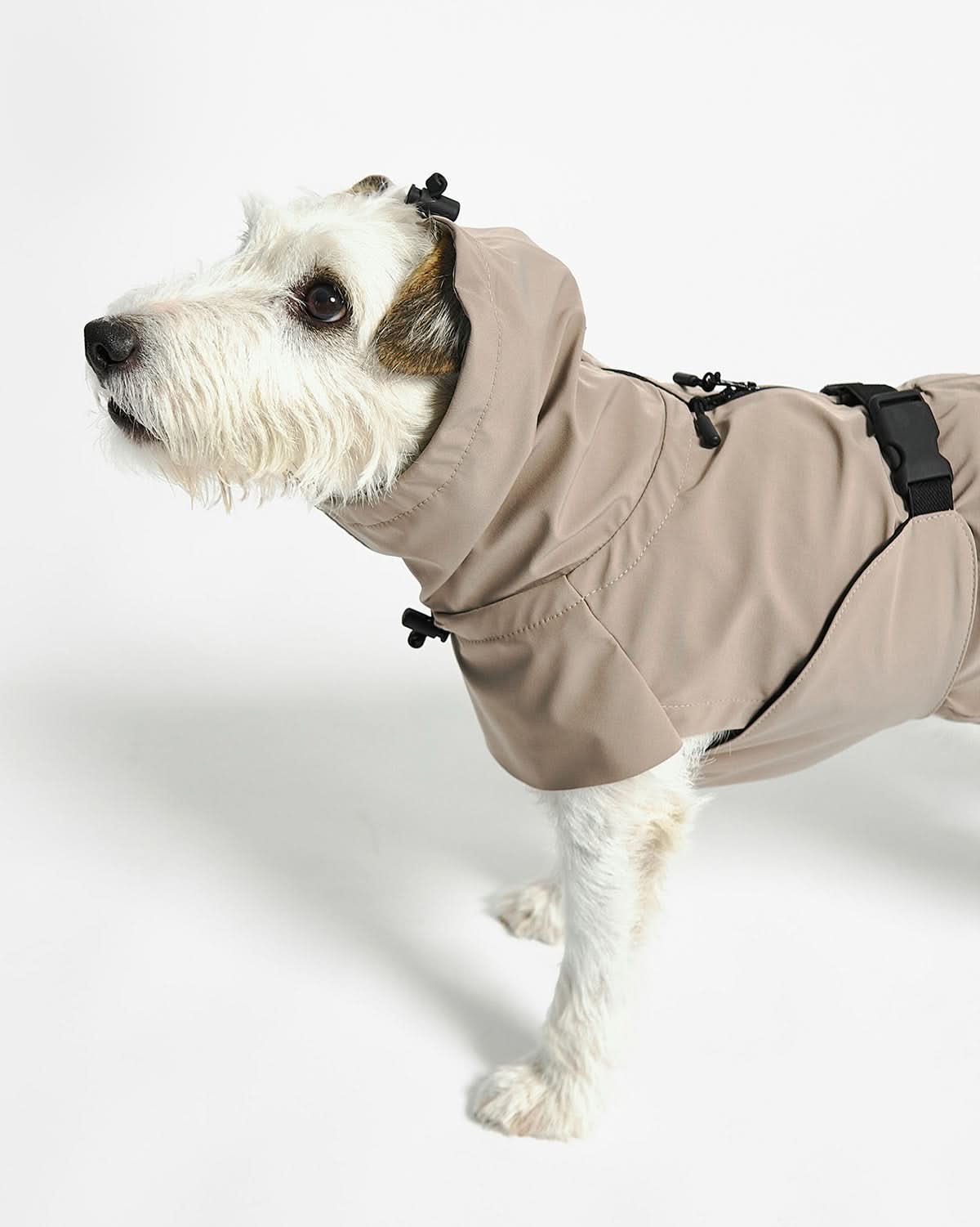 VALENTINA DOG RAINCOAT | מעיל גשם ורוח לכלב