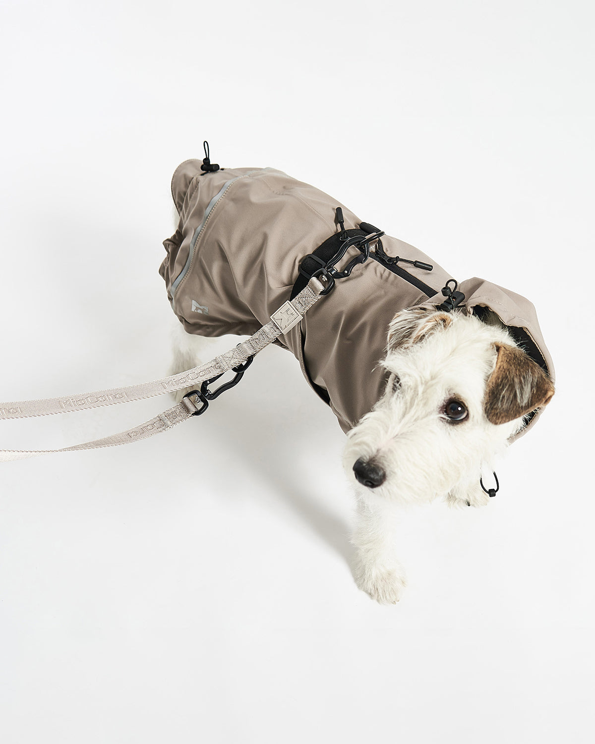 VALENTINA DOG RAINCOAT | מעיל גשם ורוח לכלב