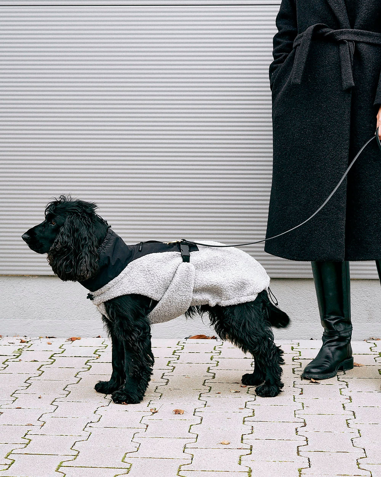 EMILIA DOG COAT | מעיל לכלב