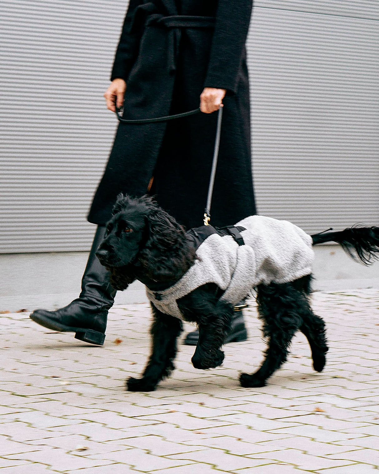 EMILIA DOG COAT | מעיל לכלב