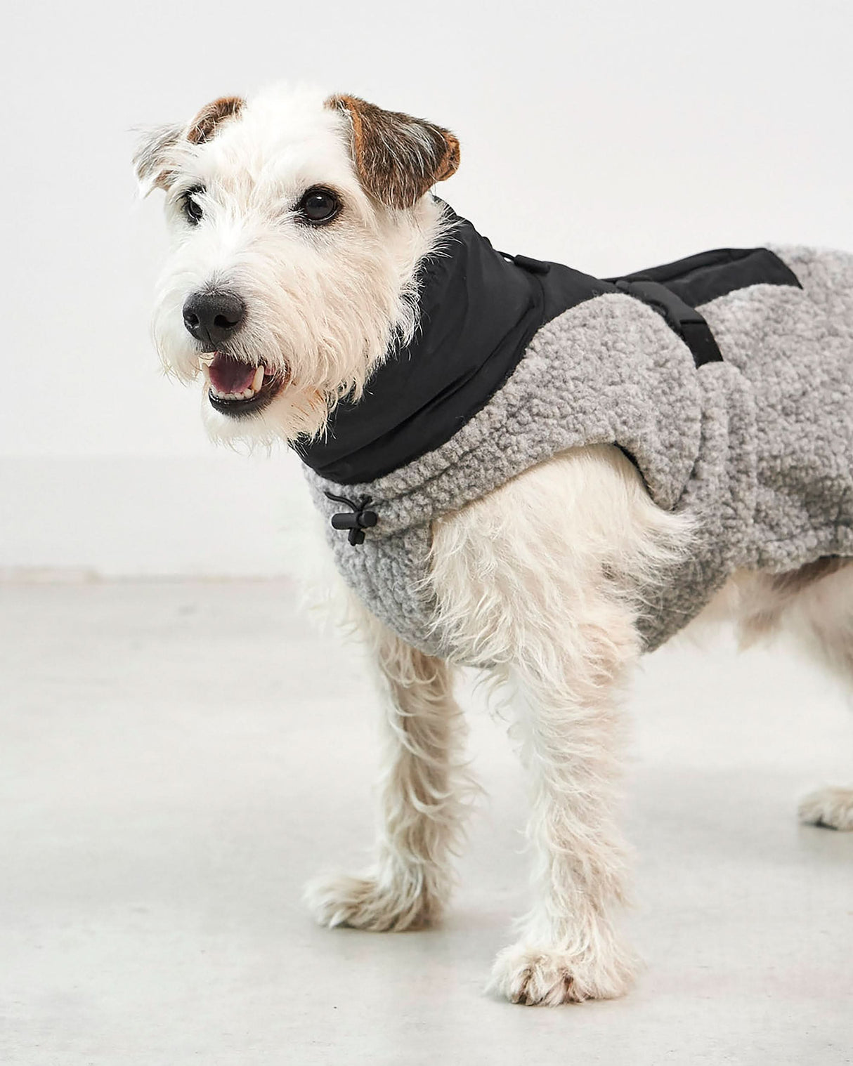 EMILIA DOG COAT | מעיל לכלב