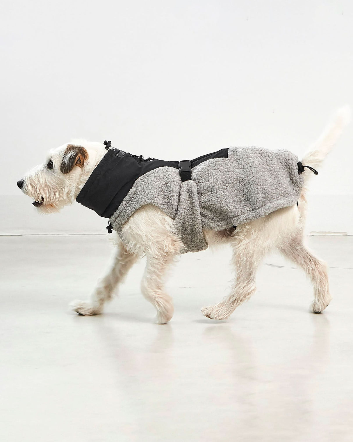 EMILIA DOG COAT | מעיל לכלב