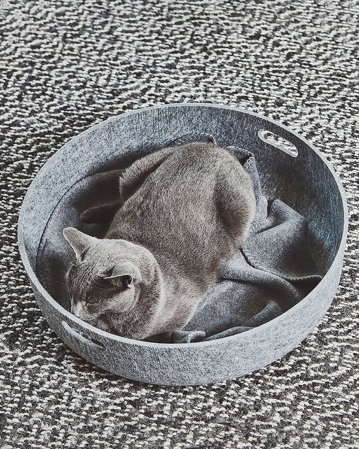 מיטות לחתולים