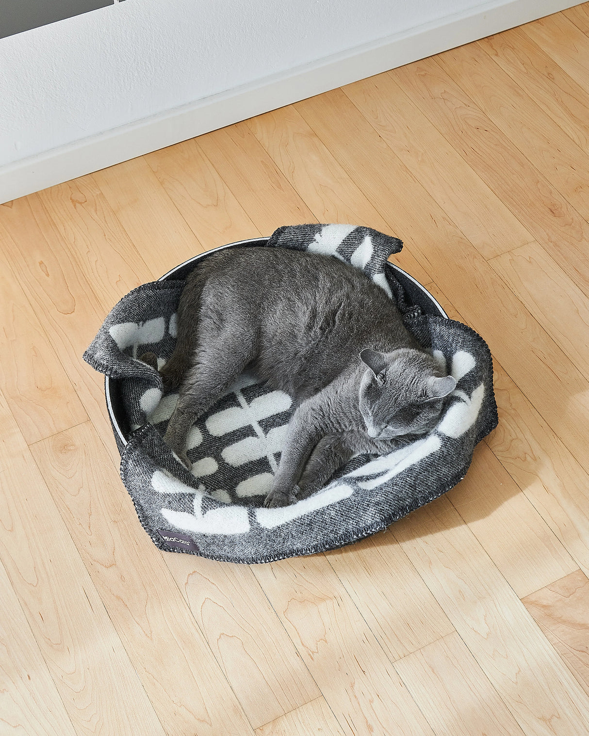 FLORA CAT WOOL BLANKET | שמיכה לחתול