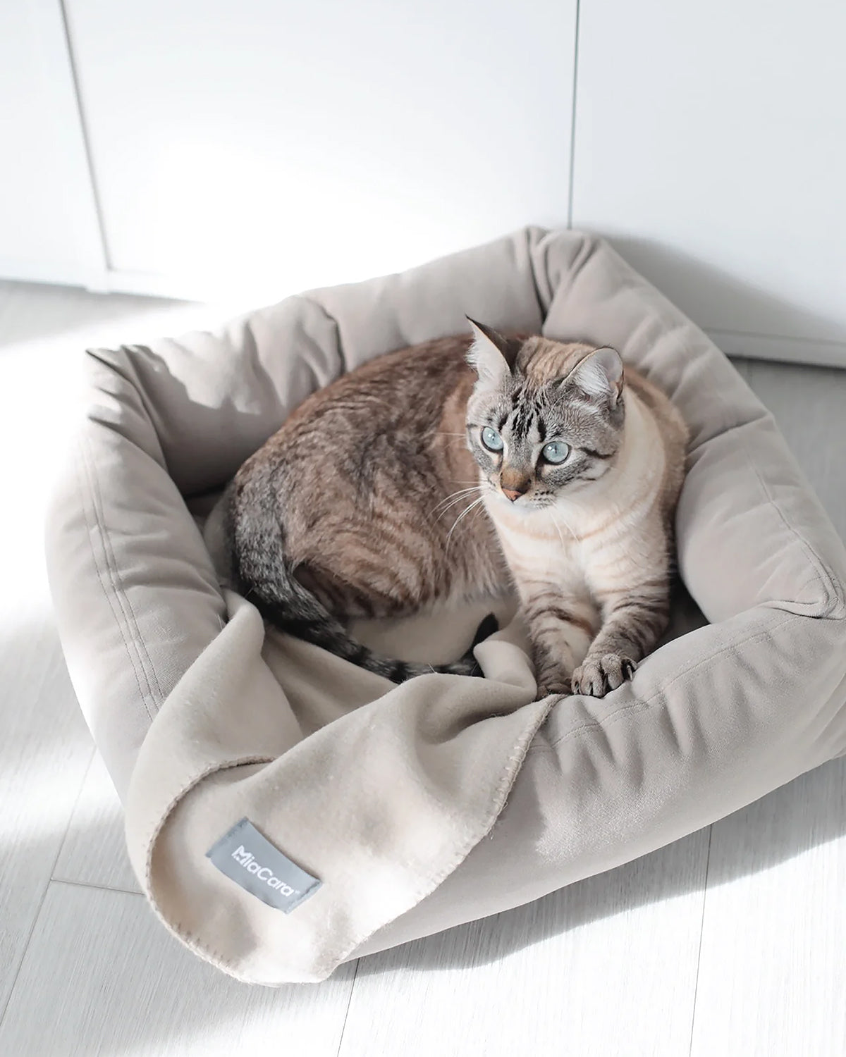 שמיכת חתול UNICA | שמיכת פליז לחתולים