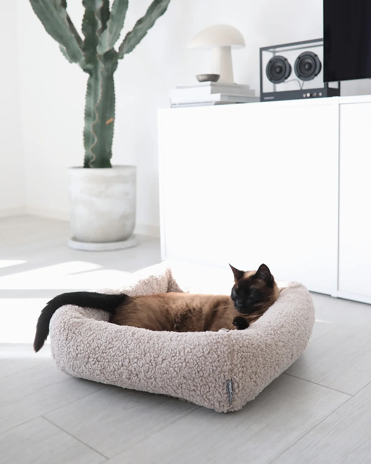 מיטת חתול סנסו | מיטה לחתול
