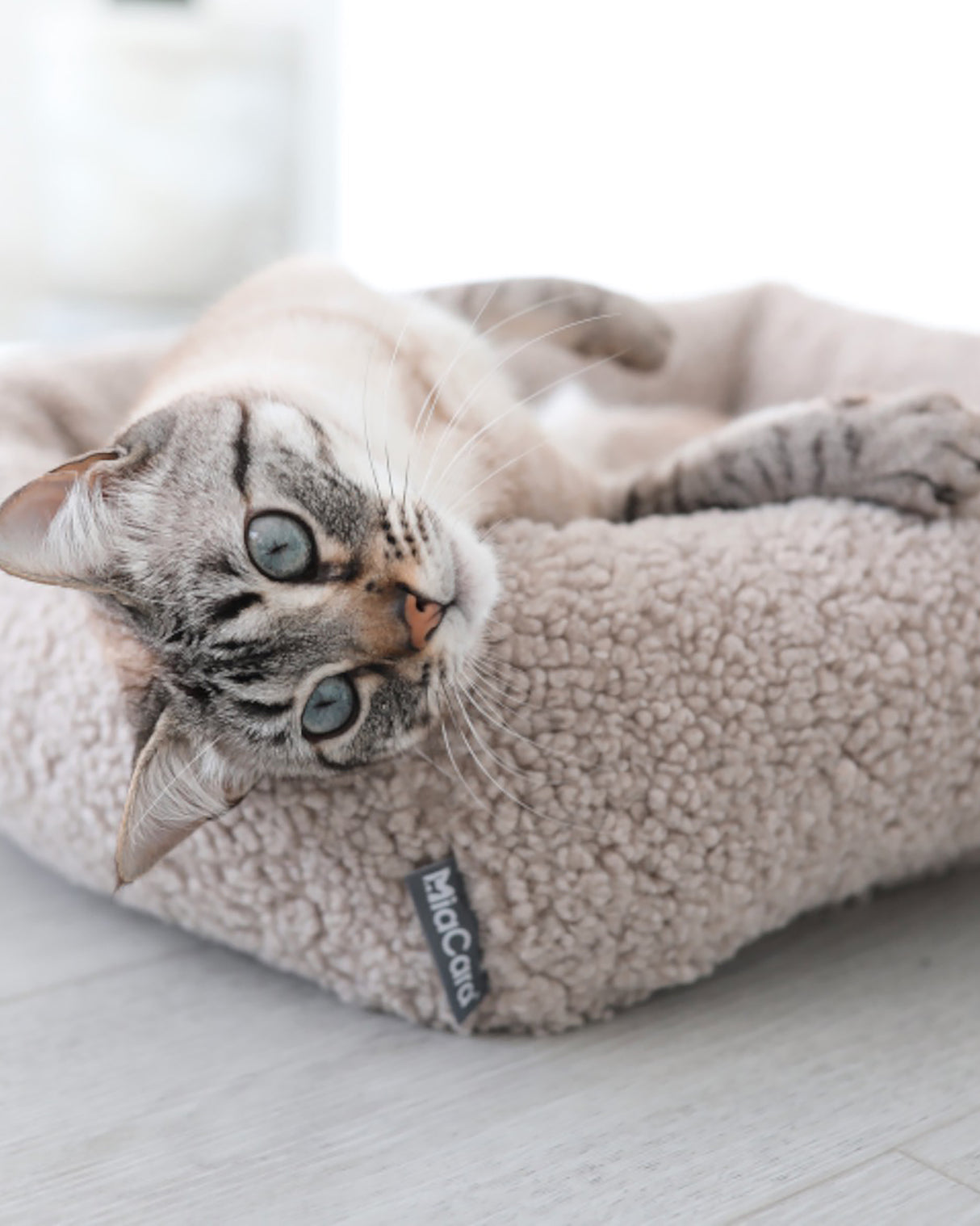 מיטת חתול סנסו | מיטה לחתול