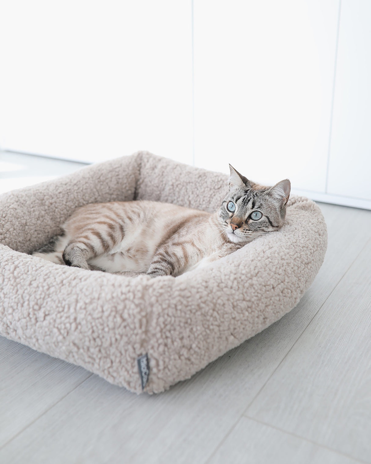 מיטת חתול סנסו | מיטה לחתול