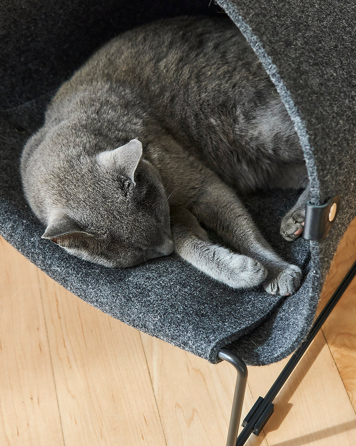 Loggia Cat Cave Bed | מיטת מאורה לחתולים