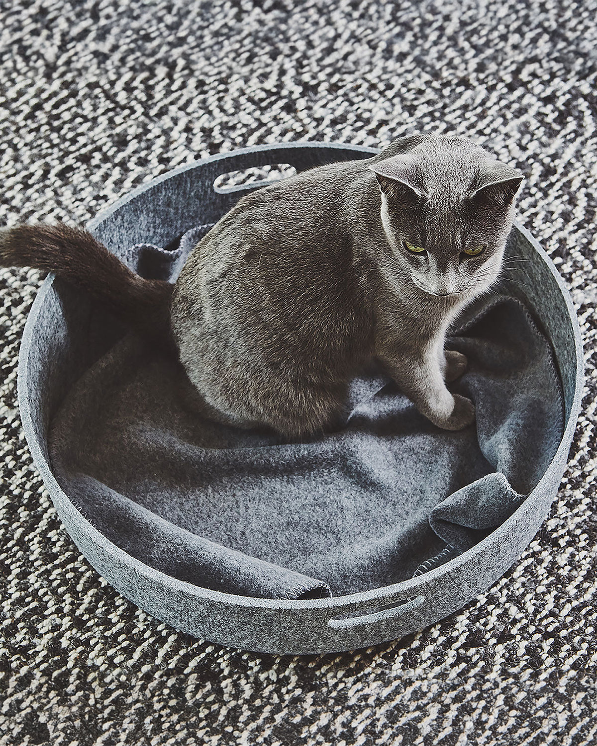 שמיכת חתול UNICA | שמיכת פליז לחתולים