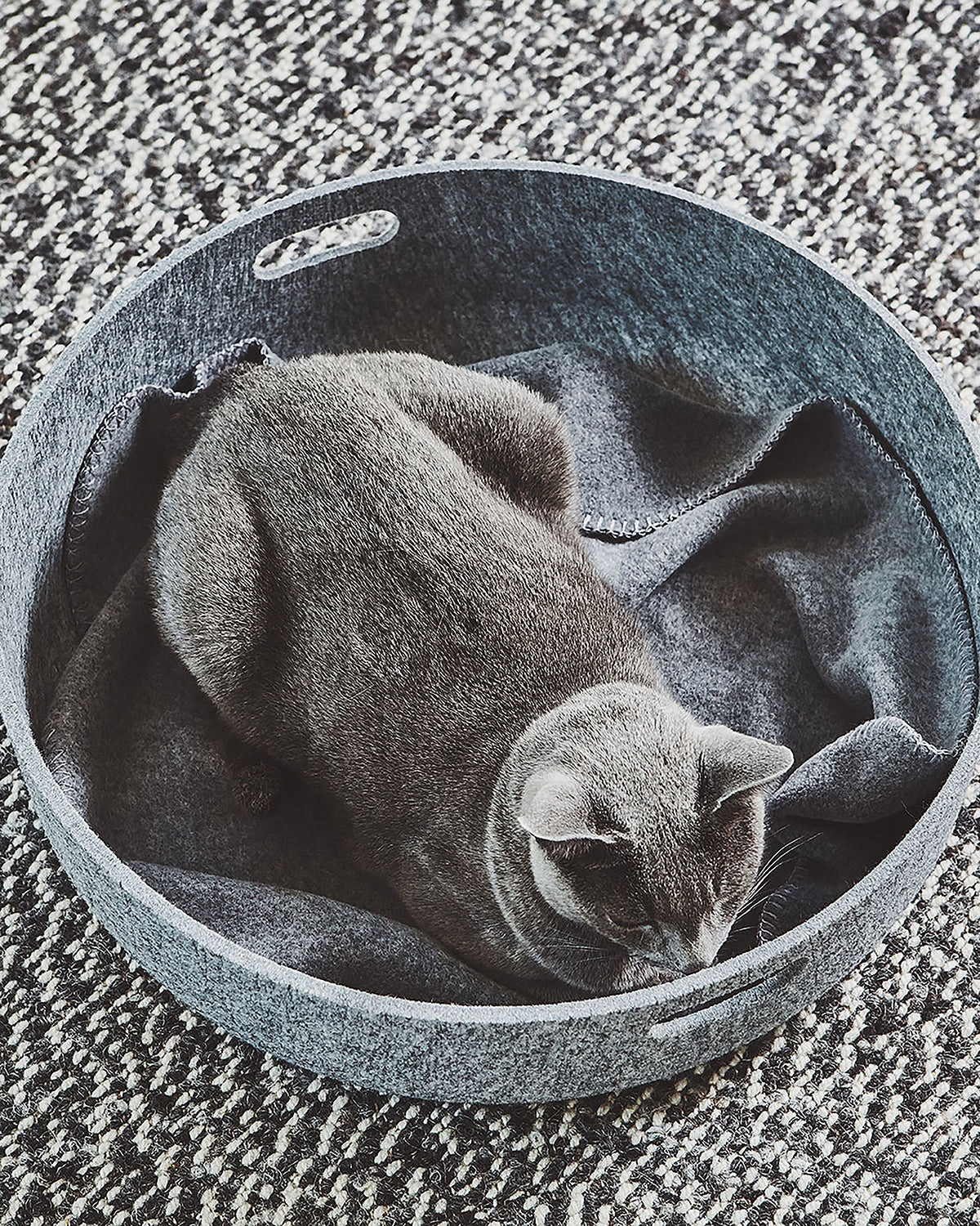 שמיכת חתול UNICA | שמיכת פליז לחתולים