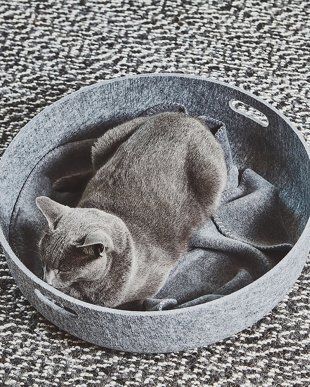 שמיכת חתול UNICA | שמיכת פליז לחתולים