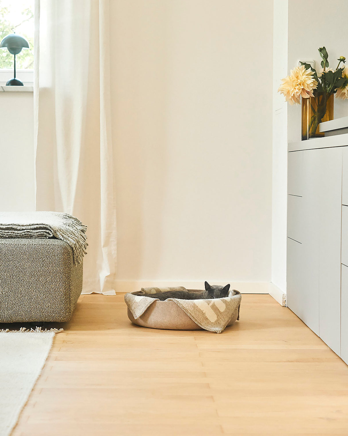 שמיכה צמר מפנקת לחתול | FLORA CAT WOOL BLANKET