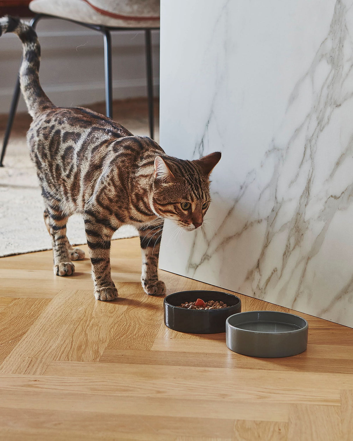 SCODELLA CAT BOWL | קערת פורצלן לחתול