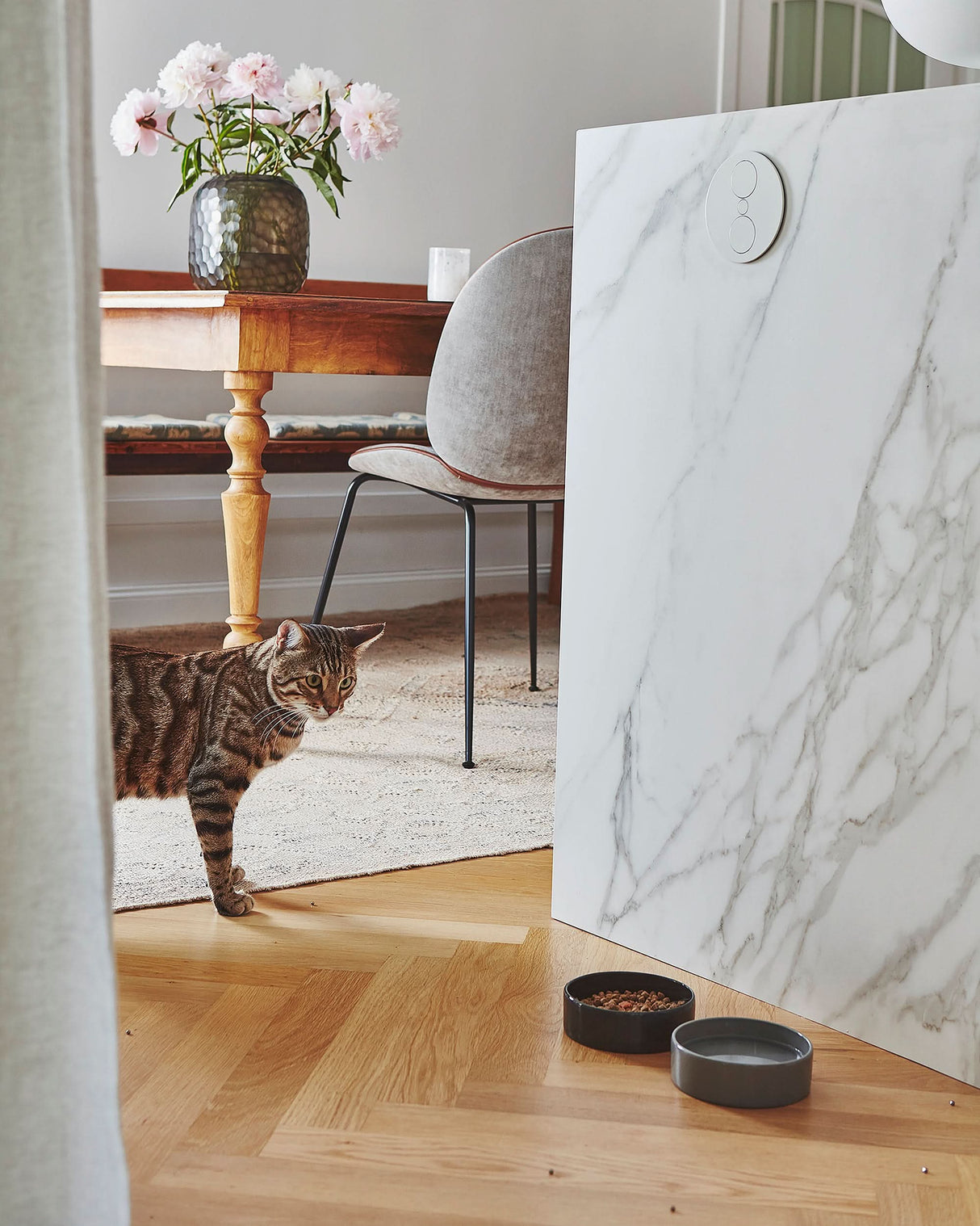 SCODELLA CAT BOWL | קערת פורצלן לחתול