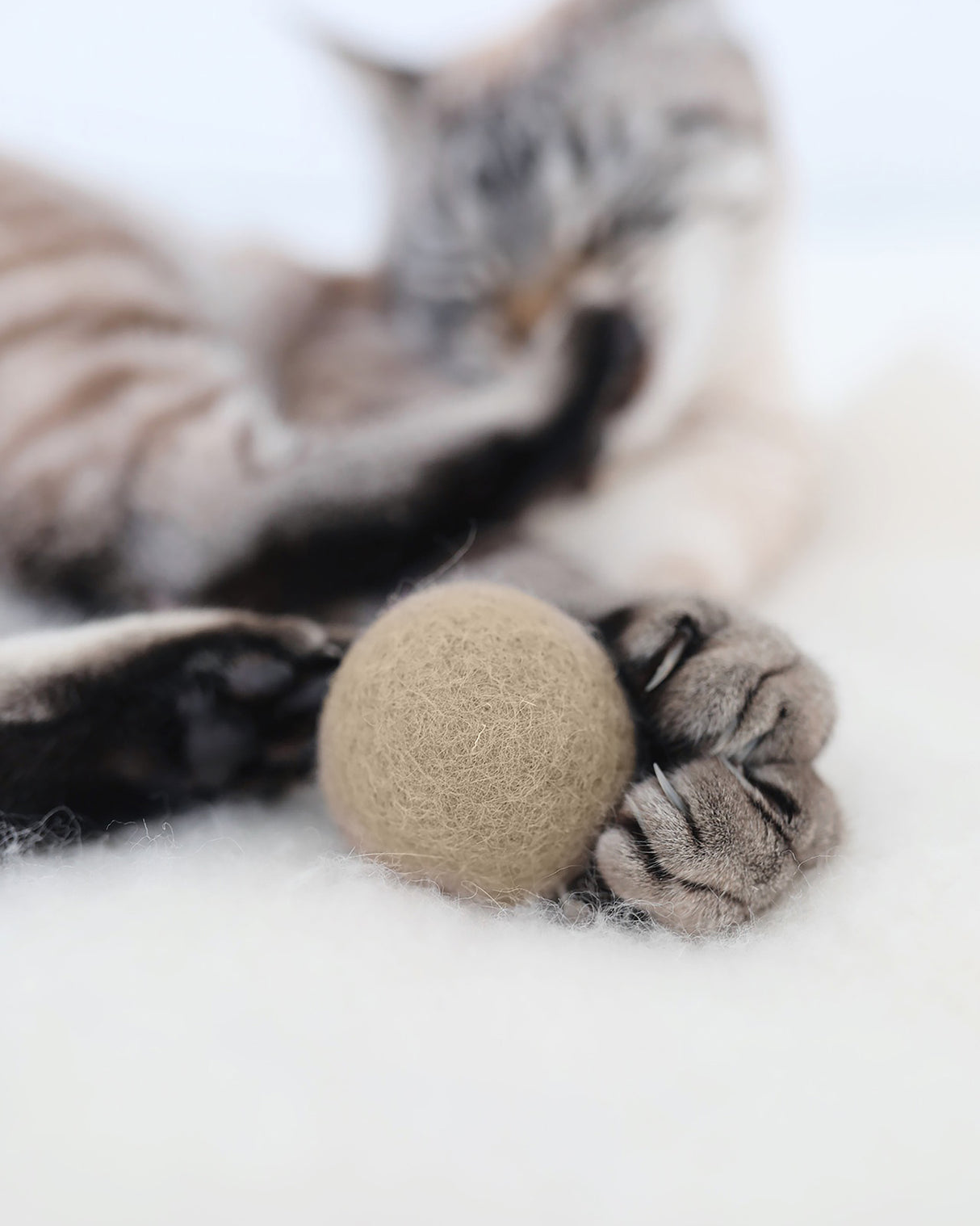 GLOBO CAT BALLS SET | סט כדורי משחק לחתולים