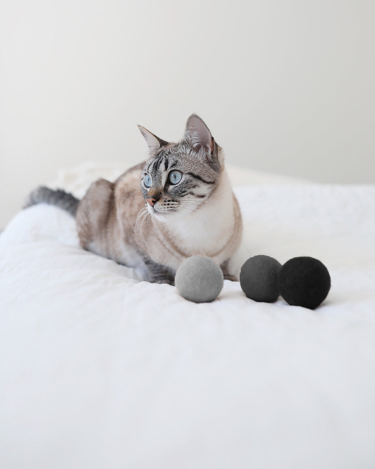 סט כדורים לחתולים, משחקים לחתולים, Cat Balls, Cat Toys