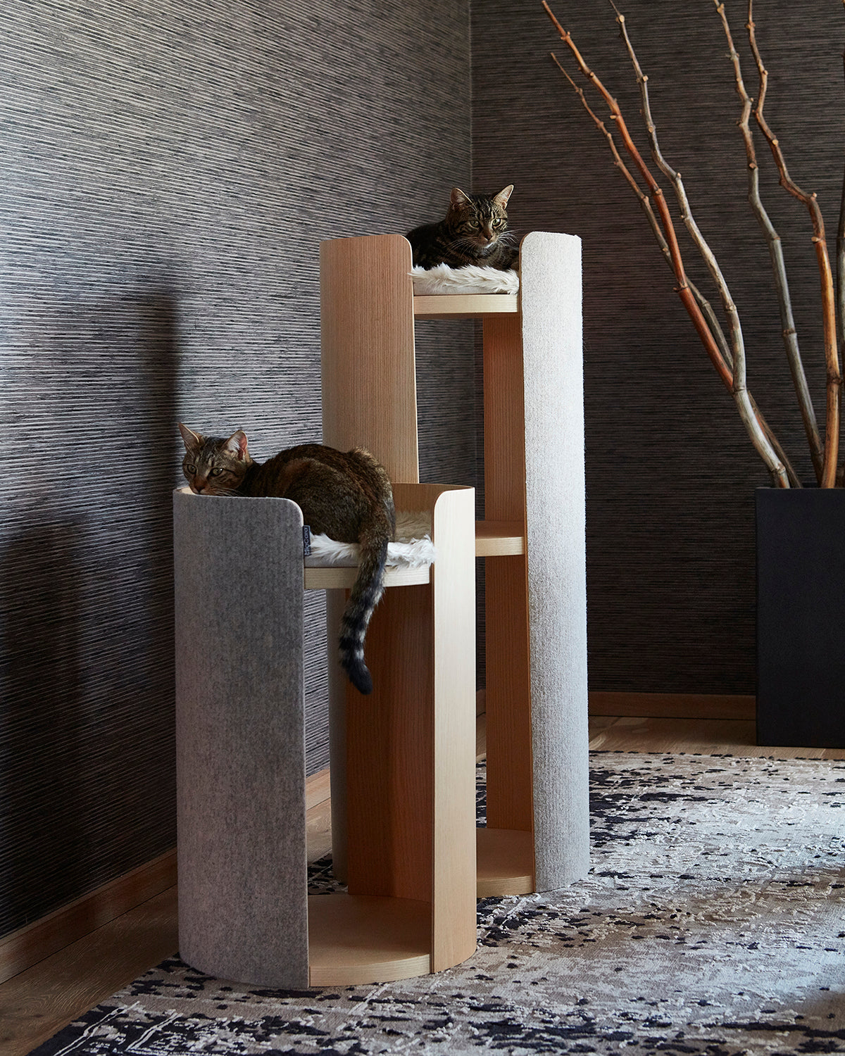 TORRE CLIMBING & SCRATCHING CAT POST | מגדל טיפוס וגירוד לחתולים