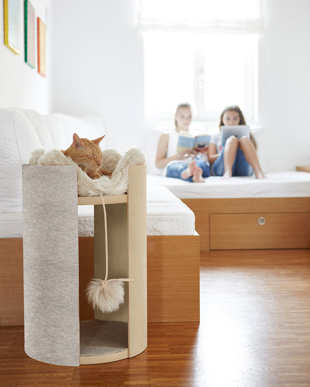 TORRE CLIMBING & SCRATCHING CAT POST | מגדל טיפוס וגירוד לחתולים