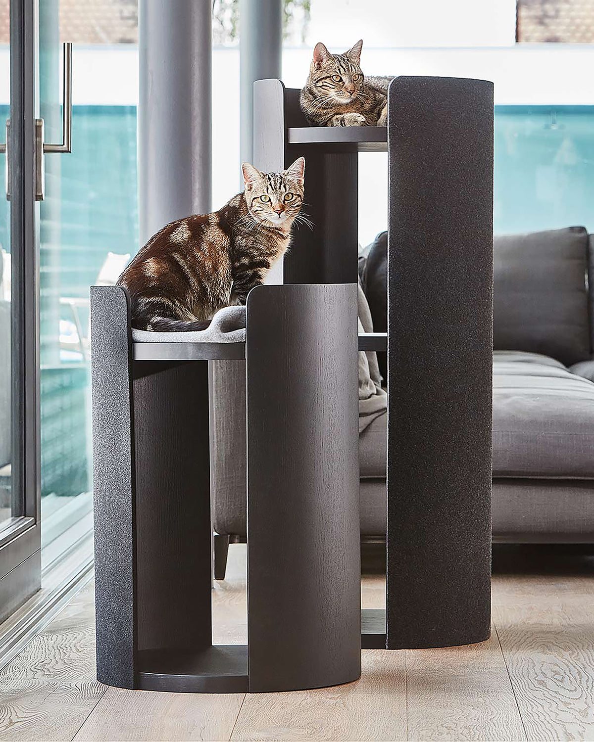 TORRE CLIMBING & SCRATCHING CAT POST | מגדל טיפוס וגירוד לחתולים