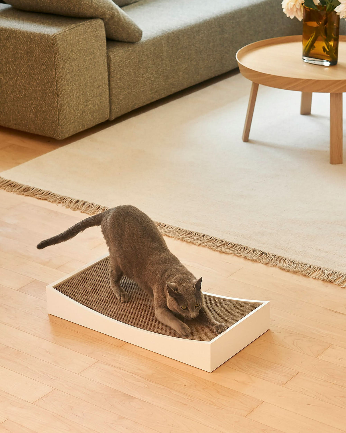 GRATTA CAT SCRATCHING BOARD | משטח גירוד לחתולים